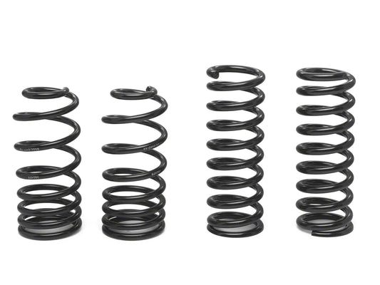 Ford Racing Lowering B-Springs (79-04 Mustang, Excluding 99-04 Cobra) #M-5300-B
