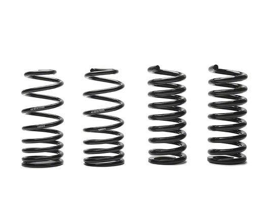 Ford Racing Lowering C-Springs (79-04 Mustang, Excluding 99-04 Cobra) #M-5300-C
