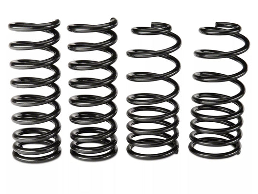 Ford Racing Lowering G-Springs (79-04 Mustang Convertible, Excluding 99-04 Cobra) #M-5300-G